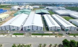 Cần Bán 1000m2 Đất Chính Chủ SHR MT Tỉnh Lộ Cạnh Chợ Ủy Ban Dân Cư Đông Đúc Giá 400tr