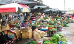 Cần Tiền Nuôi Bò Tôi Bán (1000m2) Đất Thổ SHR, MT Tỉnh Lộ 42m, Cạnh Chợ Ủy Ban, Điện Máy Xanh, Dân Đông Giá 400 Tr