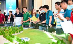 Những động lực cho thị trường bất động sản
