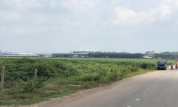 Nhánh QL14 Sổ Riêng 1,217m2 Ngay Chợ Dân Cư Đông Giá 480 Triệu