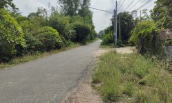 Bán 2000m2 đất KCN Việt Kiều, giá 630 triệu