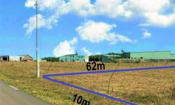 Không ai trông coi nên bán rẻ mảnh vườn 1020m2 (10×62.m2) thổ cư cạnh kcn becamex, sát chợ thị xã – 720tr