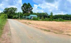 Kẹt quá bán lô góc 2mt 2675m2 (30x70m) gần kcn becamex, tiện ích chợ trường – 520tr