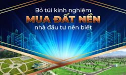 Đầu tư đất nền an toàn, lợi nhuận cao nhà đầu tư cần biết