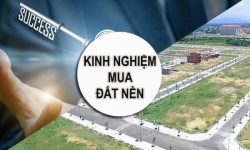Kinh nghiệm mua đất nền Bình Phước an toàn cho người mới bắt đầu