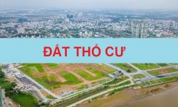Đất thổ cư là đất gì? Được làm sổ đỏ không? Những lưu ý khi mua