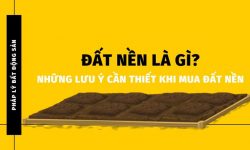 Đất nền là gì? Những thông tin cần biết khi đầu tư