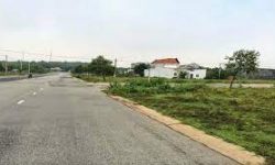 Cần bán 7300m2 có thổ cư nở hậu, 890tr/shr, mt nhựa 32m thông ra tx và ql gần cụm kcn