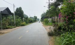 Sang gấp 1.800m2 đất thổ cư, gần chợ, giá 570 triệu, sổ hồng riêng