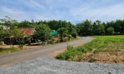 Bán gấp 1.620m2 đất vườn, shr, cách ql 13 chỉ 500m2, giá 1,2 tỷ