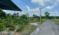 Bán gấp 2 miếng đất mẫu và miếng thổ cư ở gần kcn thanh hòa, giá 300 triệu