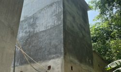 Cần bán gấp 2.000m2 đất, nhà vườn, gần chợ chơn thành, giá 1,4 tỷ