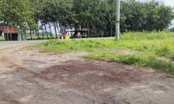 BÁN GẤP 1.360M2 ĐẤT, ĐƯỜNG NHỰA GẦN VÀNH ĐAI BECAMEX GD 2, GIÁ BÁN 720 TRIỆU