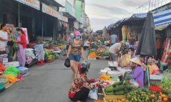 Bán nhanh 5.875m2, 520tr/shr đất đường nhựa sát kcn mở rộng, gần trường chợ, trạm y tê