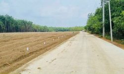 Trả lãi bán 2,076m2 giá 450 triệu, sổ riêng đường nhựa gần kcn , dân cư xung quanh