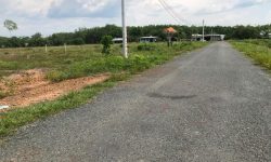 Vợ chồng tôi bán mảnh 3.280m2 đất, 430tr/shr, đường nhựa gần kcn ngay kdc có trường chợ