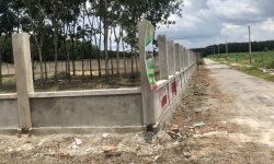 Kẹt tiền bán gấp 3.200m2, shr, gần chợ, giá rẻ 570 triệu cả sổ