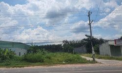 Cần Bán Lỗ 2.600m2 Đất Chính Chủ Nằm Ngay Chợ, Sát Cổng Trung Tâm Hành Chính Dân Đông Giá 370 Triệu