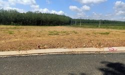 Bán 6.659m2 đất, đường nhựa, sau chợ, sát trường, cụm kcn tiện ở, xây trọ, kd. 560tr/shr