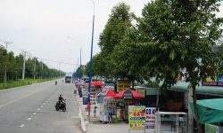 Không có tg chăm sóc nên tôi bán 6 sào (5.981m2)đất, 529tr/shr, tiện ở, xây trọ, kd