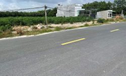 Đất mặt tiền 3260m2 (43×72) sát chợ trường, kcn becamex, kdc đông đúc sầm uất – 300tr