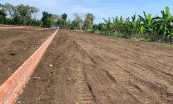 GIA ĐÌNH ĐỊNH CƯ NƯỚC NGOÀI – THANH LÝ TÀI SẢN ĐẤT VỊ TRÍ ĐẸP. GIÁ TỪ 400 TRIỆU/NỀN