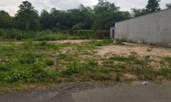 Lướt chậm thôi! ở đây có đất giá rẻ (2.300m2-giá 420tr) gần Vincom,chợ trường,sát q.lộ dân rất đông