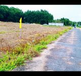 Làm ăn thua lỗ bán gấp 2.000m2, gần khu công nghiệp, sát chợ, 590tr, có sổ hồng riêng