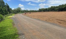 ĐẤT NHÀ CẦN BÁN 3.600M2 SHR FULL, THỔ CƯ, ĐẤT SÁT BÊN KCN, TRƯỜNG VÀ CHỢ, GIÁ 490 TRIỆU