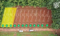 BÁN ĐẤT THỔ CƯ DT 300M2 NGAY CHỢ SÁT TRƯỜNG HỌC DÂN CƯ ĐÔNG GIÁ 480 TRIỆU