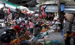 CHÍNH CHỦ, SANG GẤP 5 LÔ THỔ CƯ SÁT KCN LỚN ,444 TRIỆU, ĐƯỜNG 18M, ĐỐI DIỆN TRƯỜNG, CHỢ, SHR FULL