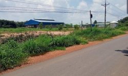 BÁN 50×59= 3.245M2 ĐẤT,CÓ T.CƯ, SHR ĐỐI DIỆN KCN BECAMEX, CHỢ.PHÙ HỢP XÂY Ở,ĐẦU TƯ GIÁ 510TRIỆU