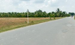ĐẤT CHƠN THÀNH KHÔNG RẺ NHƯ A/C THẤY, ĐI XEM LÀM MẤT THỜI GIAN. EM BÁN 1300M2 ĐẤT GIÁ 520 TRIỆU