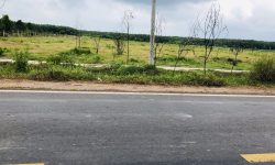BÁN ĐẤT BÌNH PHƯỚC GẤP LÔ ĐẤT 1.010M2, NGAY CHỢ, TRƯỜNG HỌC MỞ QUÁN KD BUÔN BÁN. GIÁ 380TR