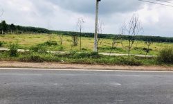 KẸT VỐN LÀM ĂN BÁN GẤP LÔ ĐẤT 1.125M2, NGAY CHỢ, TRƯỜNG HỌC MỞ QUÁN KD BUÔN BÁN.GIÁ 520TR