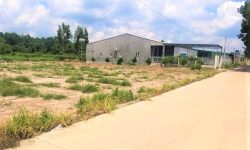 BÁN ĐẤT HỚN QUẢN 2MT THỔ CƯ, SÁT TT KDC, GẦN KCN 1000ha, TIỆN ÍCH CHỢ, TRƯỜNG CÁC CẤP – 379TR/SHR