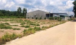 BÁN ĐẤT BÌNH PHƯỚC DIỆN TÍCH 2230m2 ĐẤT MẶT TIỀN, TRUNG TÂM KDC ĐÔNG, GẦN CHỢ TRƯỜNG, KCN – 450TR