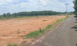 BÁN ĐẤT BÌNH PHƯỚC GẤP 1010M2 MẶT TIỀN ĐƯỜNG LỘ 32M ĐANG LÀM, GẦN KCN BECAMEX, DÂN CƯ SINH SỐNG ĐÔNG. GIÁ 320TR