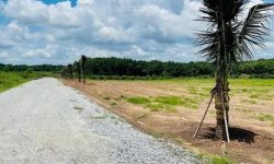 BÁN ĐẤT CHƠN THÀNH CHÍNH CHỦ BÁN 1000M2 ĐẤT, A/C THIỆN CHÍ ĐI XEM TRÁNH LÀM MẤT THỜI GIAN HAI BÊN. GIÁ 560TR