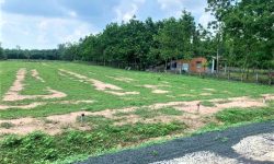 BÁN ĐẤT HỚN QUẢN GẤP 2120m2 (52×40) ĐẤT 02 MẶT TIỀN ĐƯỜNG LIÊN XÃ, KDC VÀNH ĐAI KCN, CHỢ TRƯỜNG – 380TR