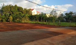 BÁN ĐẤT HỚN QUẢN – BÌNH PHƯỚC, 2 LÔ 1205M2 THỔ CƯ NGAY CHỢ ĐƯỜNG 18M GIÁ 399TR