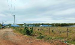 BÁN ĐẤT BÌNH PHƯỚC GIÁ RẺ DIỆN TÍCH 998M2 GIÁ CHỈ 730 TRIỆU