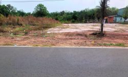 KET TIỀN BÁN ĐẤT BÌNH PHƯỚC GẤP 1200M2 ĐẤT Ở GẦN CHỢ, TRƯỜNG HỌC CẤP 2-3 TIỆN XÂY NHÀ Ở. GIÁ 280TR