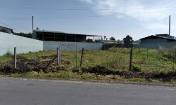 KẸT TIỀN BÁN NHANH 1120M2 ĐẤT NGAY CHỢ, GẦN KCN DÂN ĐÔNG TIỆN XÂY TRỌ. GIÁ 300 TRIỆU