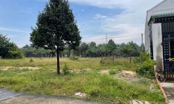 CẦN BÁN 3120M2 ĐẤT, SỔ RIÊNG NGAY CHỢ, GẦN KDC ĐẠI NAM. GIÁ 430 TRIỆU