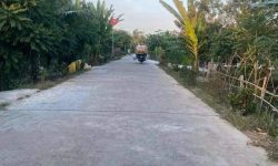 Do lớn tuổi không chăm được vườn nên tôi muốn sang lại mãnh vườn trái cây 2000m2 giá 360tr