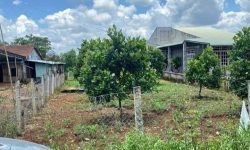 SANG LỖ 1.120M2 (THỔ CƯ 100m2) CẠNH ỦY BAN, CHỢ, RA QUỐC LỘ CHỈ 1 PHÚT, GIÁ: 280 TRIỆU