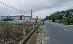 BÁN GẤP 3 000M2 ĐẤT GẦN KCN SHR GIÁ 160 TRIỆU BAO MỌI PHÍ SANG TÊN