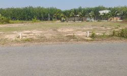 BÁN NHANH 2120M2 ĐẤT NGAY CHỢ, TRƯỜNG HỌC DÂN CƯ ĐÔNG. GIÁ 130 TRIỆU