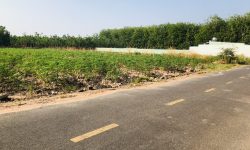 BÁN 1015M2 ĐẤT ĐƯỜNG NHỰA NGAY KHU DÂN CƯ TIỆN ÍCH ĐẦY ĐỦ GIÁ ĐẦU TƯ 350 TRIỆU KTL